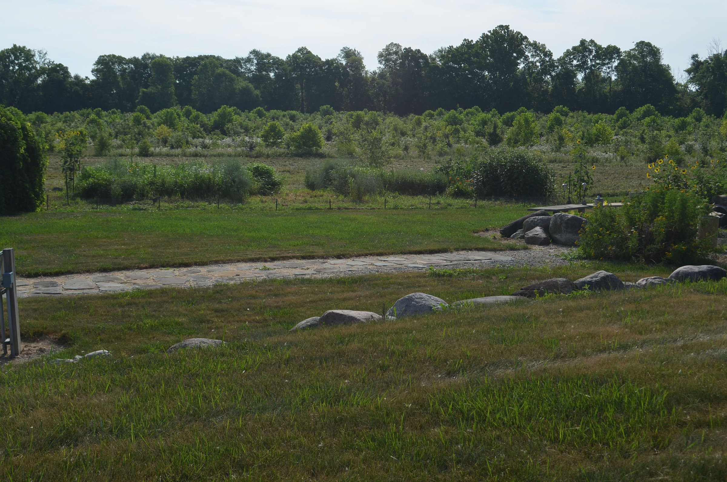 Property photo 38 - REAL ESTATE AUCTION - 26+/- ACRES IN 3 TRACTS IN SOUTHWEST ALLEN COUNTY, INDIANA
